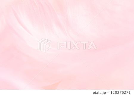 羽根・ふんわり 背景素材 羽根・ふんわり 背景素材 120276271