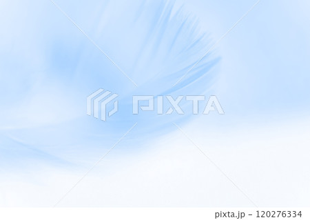 羽根・ふんわり 背景素材 120276334