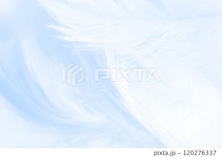 羽根・ふんわり 背景素材 羽根・ふんわり 背景素材 120276337