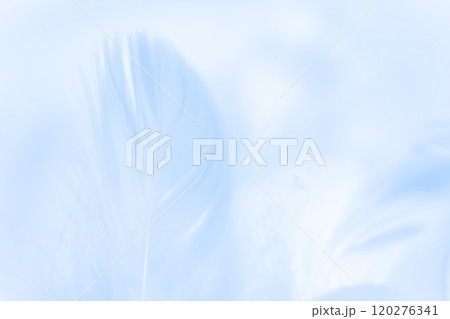 羽根・ふんわり 背景素材 120276341