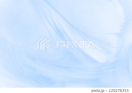 羽根・ふんわり 背景素材 120276353