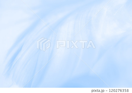 羽根・ふんわり 背景素材 羽根・ふんわり 背景素材 120276358