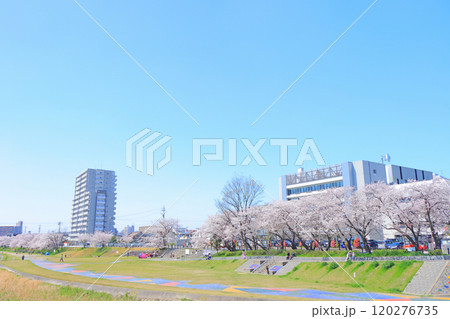 愛知県瀬戸市、瀬戸川沿いの桜と瀬戸市役所の風景 愛知県瀬戸市、瀬戸川沿いの桜と瀬戸市役所の風景 120276735
