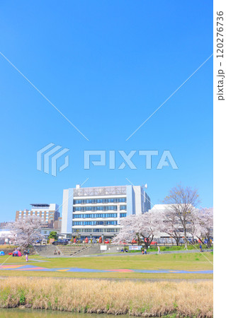 愛知県瀬戸市、瀬戸川沿いの桜と瀬戸市役所の風景 愛知県瀬戸市、瀬戸川沿いの桜と瀬戸市役所の風景 120276736