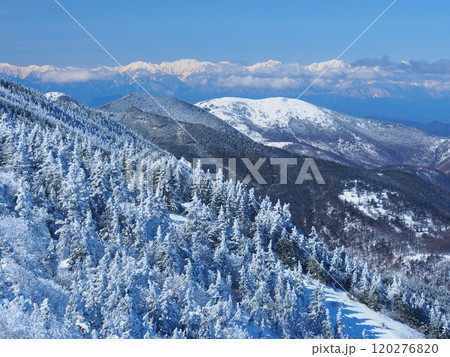 冬の浅間山外輪山・蛇骨岳から望む湯ノ丸山と北アルプス 120276820