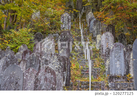 木曽御嶽山霊神碑群【木曽郡木曽町】 120277125