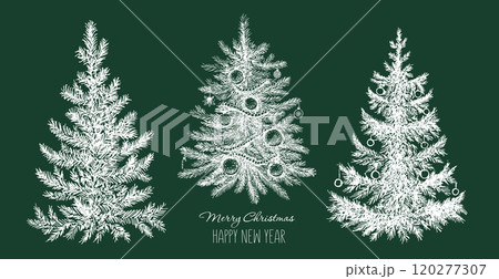Christmas tree set on green, hand drawn illustration Christmas tree set on green, hand drawn illustration 120277307