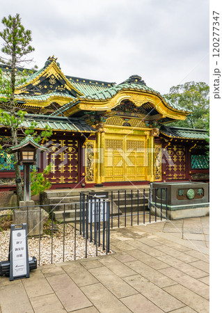 上野東照宮（三大東照宮）三処権現　唐門と拝殿　東京都台東区上野公園 120277347