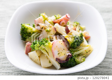 おいしいタコのバジルサラダ 120278041