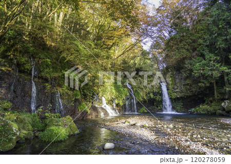 秋の陣馬の滝 120278059