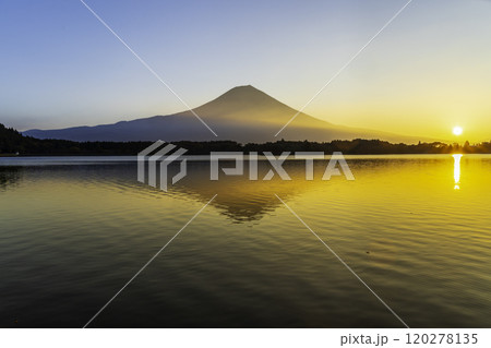 秋の田貫湖から富士山と日の出 120278135