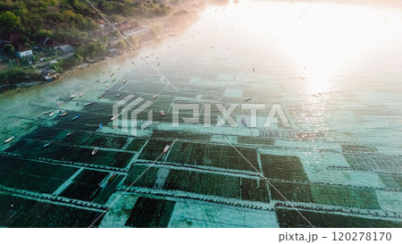 Sea weed farm at Lembongan island in Indonesia with morning light and fog. Aerial view Sea weed farm at Lembongan island in Indonesia with morning light and fog. Aerial view 120278170