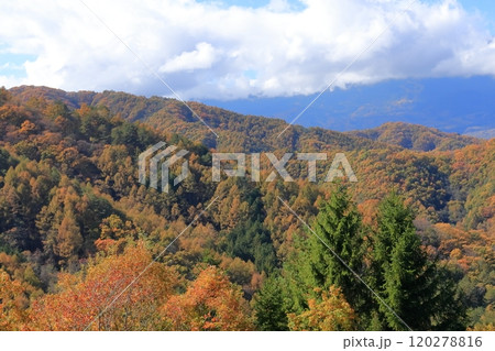 《長野県》木曽町 地蔵峠からの開田高原 《長野県》木曽町 地蔵峠からの開田高原 120278816