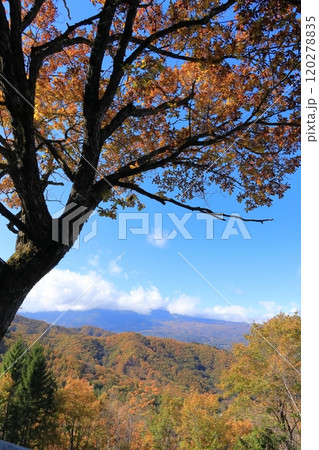 《長野県》木曽町 地蔵峠からの開田高原 《長野県》木曽町 地蔵峠からの開田高原 120278835