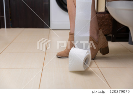 An Unexpected Discovery of a Roll of Toilet Paper Unexpectedly Found in the Bathroom Space 120279079