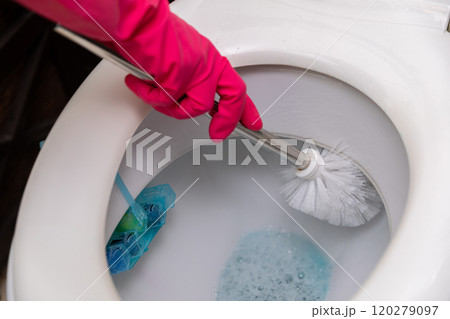Effectively Utilizing Cleaning Supplies and a Toilet Brush for Optimal Hygiene in Action Effectively Utilizing Cleaning Supplies and a Toilet Brush for Optimal Hygiene in Action 120279097