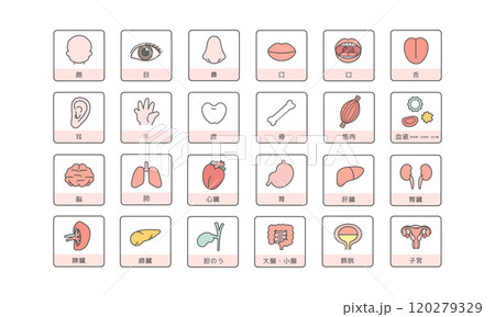 人体 脳 臓器 内臓 体のパーツ イラストセット(説明あり) 人体 脳 臓器 内臓 体のパーツ イラストセット(説明あり) 120279329
