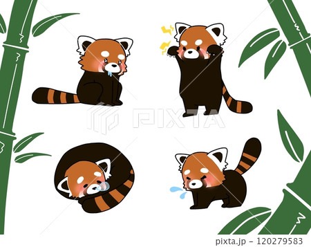 レッサーパンダ　かわいいキャラクターセット 120279583