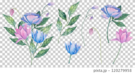 Watercolor illustration of bouquet with delicate pink and blue flowers with green leaves. The soft colors design make it perfect for floral themed art, botanical projects, and nature inspired decor. 120279958
