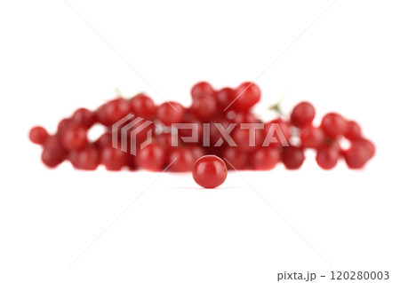Selective focus on viburnum berries on white background opposite a pile of blurred viburnum berries. Selective focus on viburnum berries on white background opposite a pile of blurred viburnum berries. 120280003