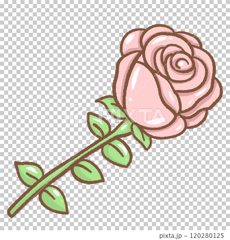 a single pink rose Hand drawn illustration Valentines day style pastel color isolated on transparent background, perfect for valentines day gifts, nursery decorations 120280125