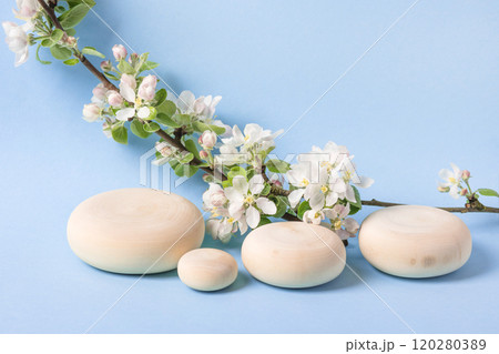 Wood slice podium and and blossoming branches of apple tree on blue background. Concept scene stage showcase for new product, banner, promotion sale, cosmetic, presentation 120280389