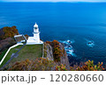 紅葉の中の灯台と岬灯台を望む 120280660