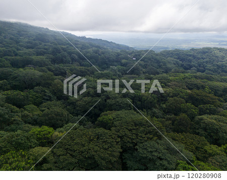 Lush green canopy of tropical forest under cloudy skies in early morning 120280908