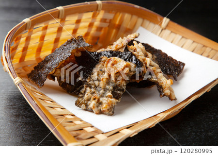 海苔の天ぷら 120280995