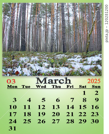 beautiful calendar for March 2025 with photo of melting snow in early spring 120281200