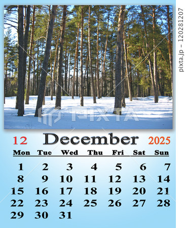 calendar for December 2025 with photo of snowy pines in the forest calendar for December 2025 with photo of snowy pines in the forest 120281207