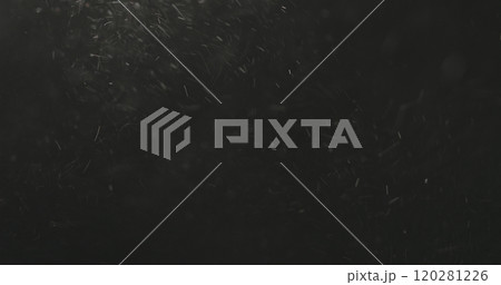 dust particles floating over black background with motion blur dust particles floating over black background with motion blur 120281226