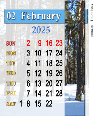 calendar for February 2025 with photo of snowy pine forest. Business calendar 120281503