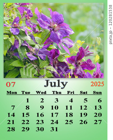 Calendar for July 2025 with photo of blooming flowers of clematis 120281538
