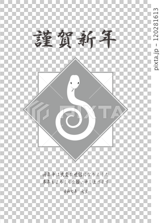 ヘビ年　年賀状はがきテンプレート　シンプル 120281613