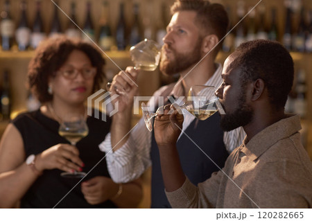 Biracial sommeliers taking sips to check taste quality of white whine Biracial sommeliers taking sips to check taste quality of white whine 120282665