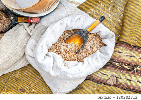 Wheat grain in canvas bags for further processing into flour Wheat grain in canvas bags for further processing into flour 120282812