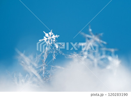 snapshot of a small snowflake taken during a snowfall 120283190