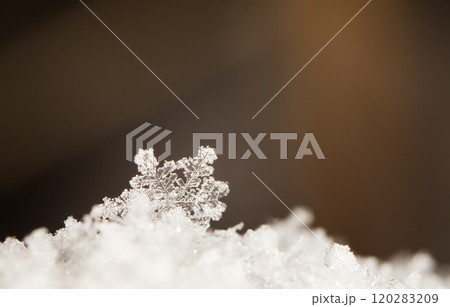 snapshot of a small snowflake taken during a snowfall 120283209