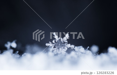 snowflakes, winter card, crystals of snow snowflakes, winter card, crystals of snow 120283226