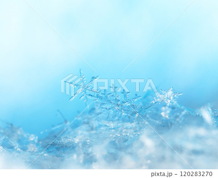 snowflakes, winter card, crystals of snow 120283270