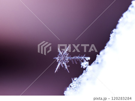 snowflakes, winter card, crystals of snow 120283284