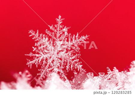 snowflakes, winter card, crystals of snow snowflakes, winter card, crystals of snow 120283285