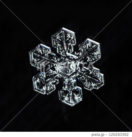 snowflake, little snowflake on the snow 120283302