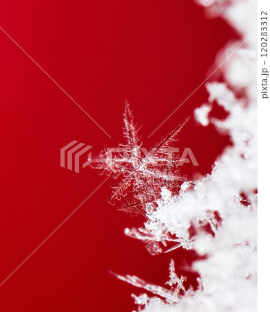 snowflake, little snowflake on the snow 120283312