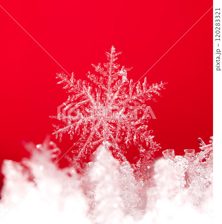 snowflake, little snowflake on the snow snowflake, little snowflake on the snow 120283321