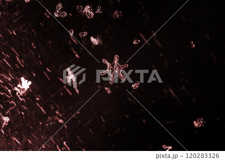 snowflake, little snowflake on the snow 120283326