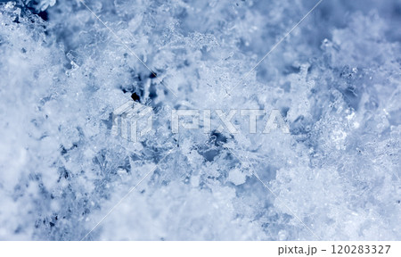 snowflake, little snowflake on the snow snowflake, little snowflake on the snow 120283327