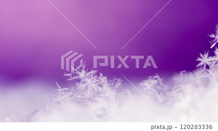 snowflake, little snowflake on the snow snowflake, little snowflake on the snow 120283336