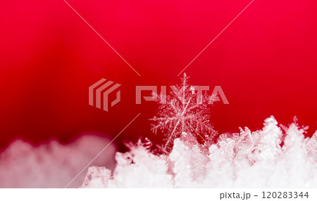 snowflake, little snowflake on the snow 120283344